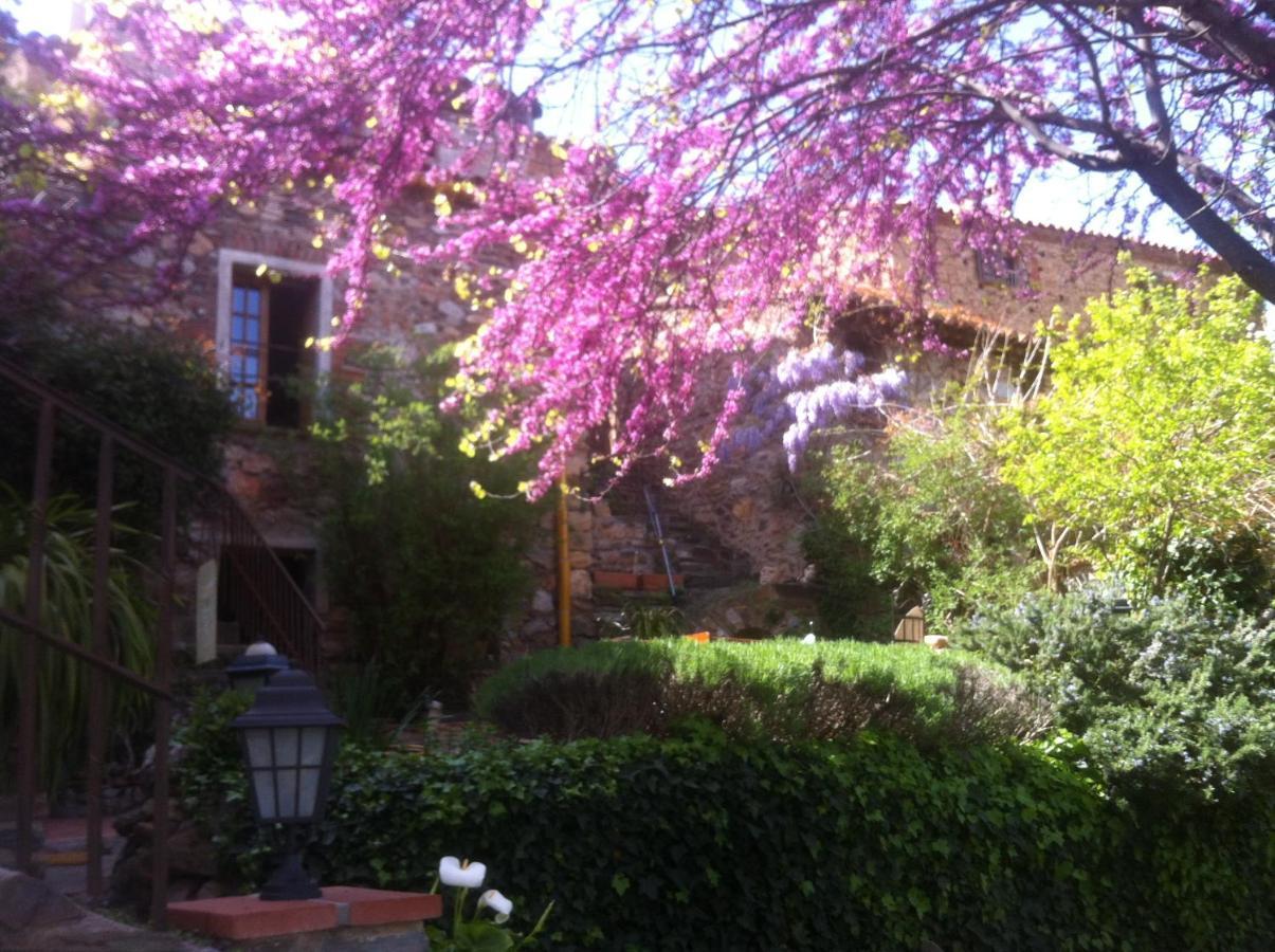 La Figuera Bed & Breakfast Camélas Eksteriør bilde